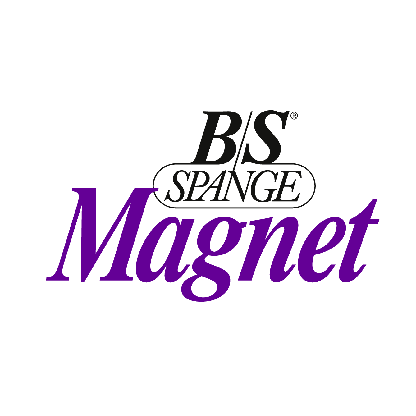 BS Spange Magnet